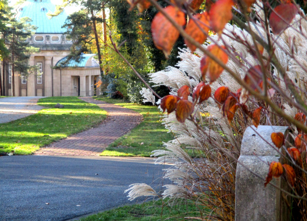 Im Vordergrund sind verschiedene Pflanzen zu sehen, im Hintergrund die Kapelle des Sennefriedhofs