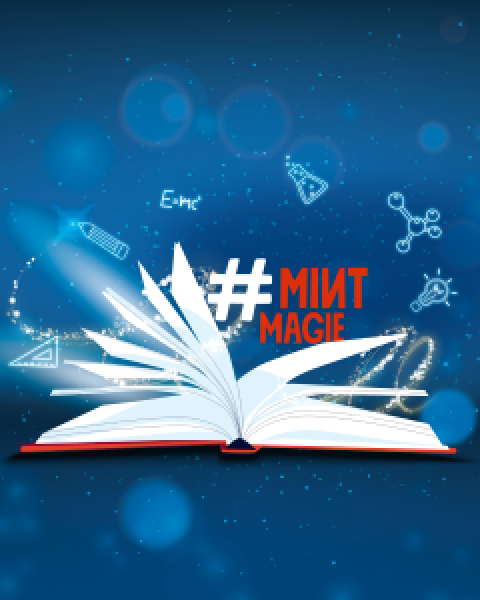 MI(N)T-Mach-Freitag
