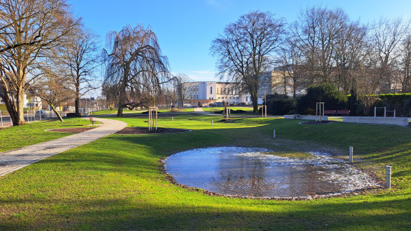 Spätwinterlicher Blick in den neu gestalteten Rosengarten an der Rudolf-Oetker-Halle mit weiten Wiesenflächen, Wegen, Bäumen und einer regenwassergefüllten Bodenmulde.