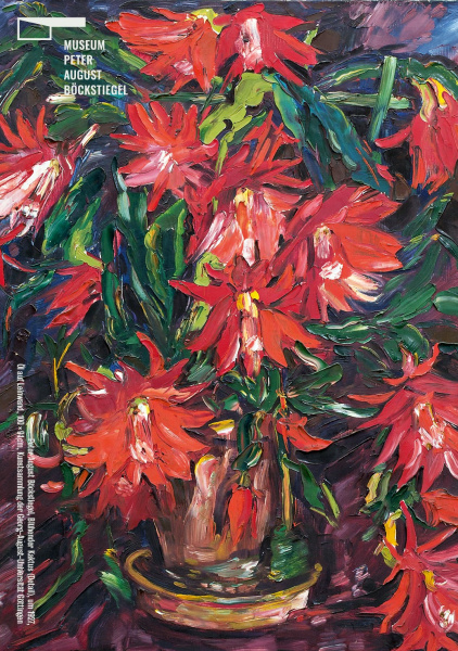 Darstellung eines blühenden Winterkaktus