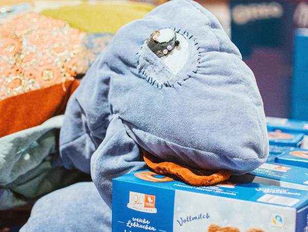 Schildi, die Schildkröte, liegt auf einer Packung Lebkuchenherzen