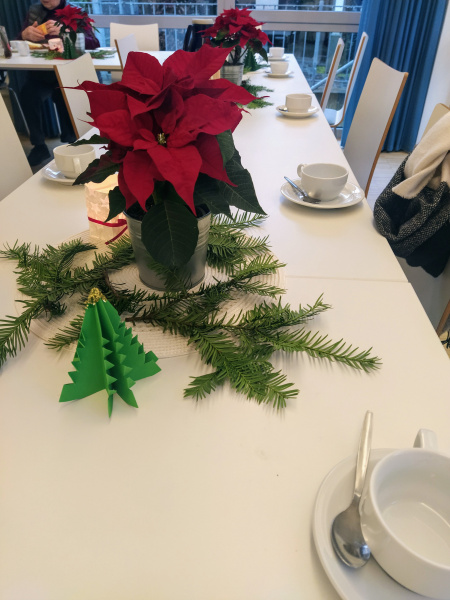 ein Weihnachtsstern steht auf einer gedeckten Tafel