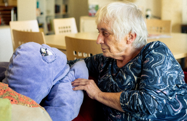 Schildi, die Schildkröte, zusammen mit einer Person auf dem roten Sofa sitzend