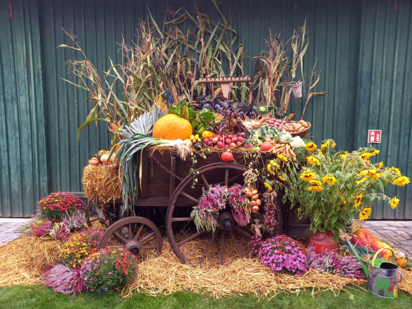 Ein bunt geschmückter Erntewagen mit Feld- und Gartenfrüchten