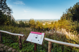 Bergmannsweg