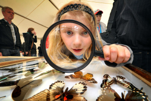Science-Seeing Bielefeld